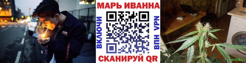 Конопля конопля  Луза 